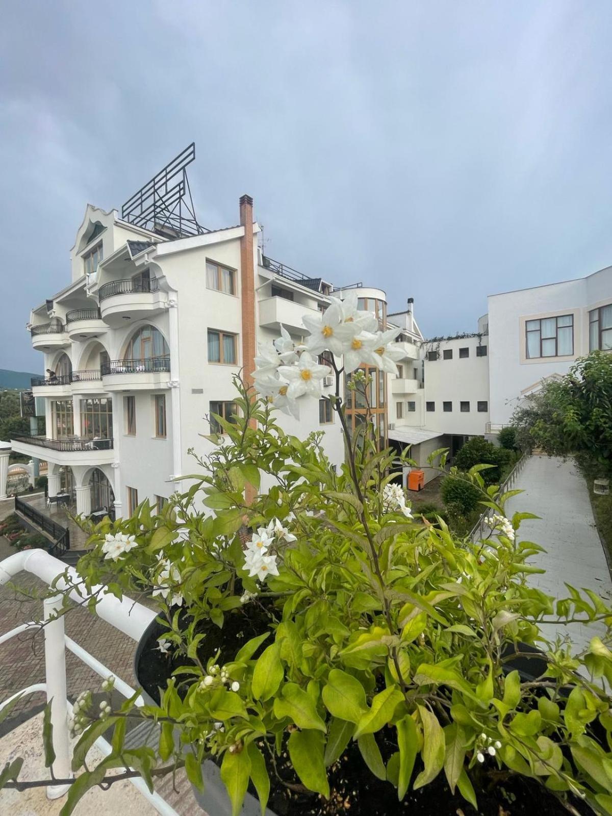 Misk Hotel & Resort Tiranë Ngoại thất bức ảnh